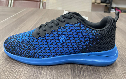 Limited Edition Blueberry Womens Bowls Trainer